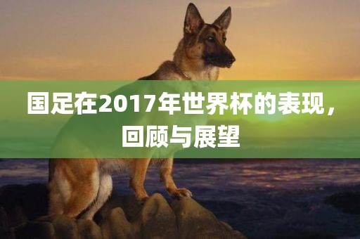 国足在2017年世界杯的表现，回顾与展望