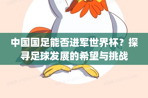 中国国足能否进军世界杯？探寻足球发展的希望与挑战漯河市盈旭机械设备有限公司