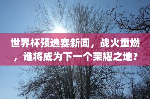 世界杯预选赛新闻，战火重燃，谁将成为下一个荣耀之地？