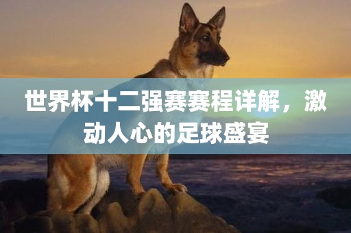 世界杯十二强赛赛程漯河市盈旭机械设备有限公司详解，激动人心的足球盛宴