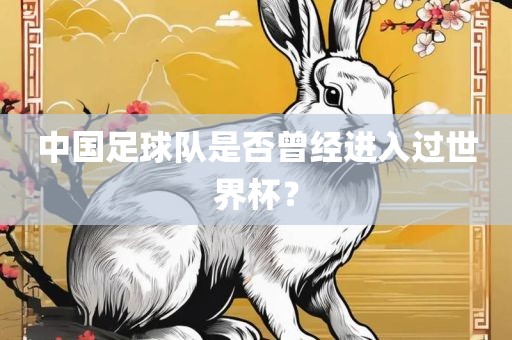 中国足球队是否曾经进入过世界杯？