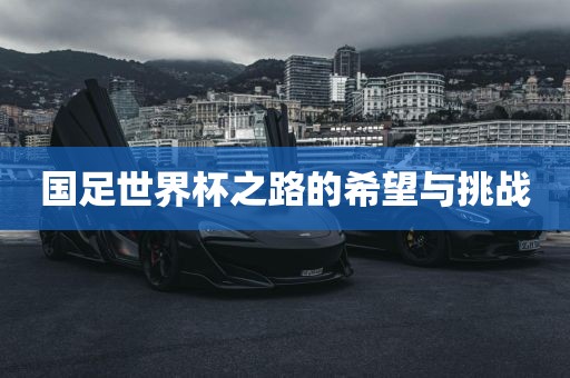 国足世界杯之路的希望与挑战