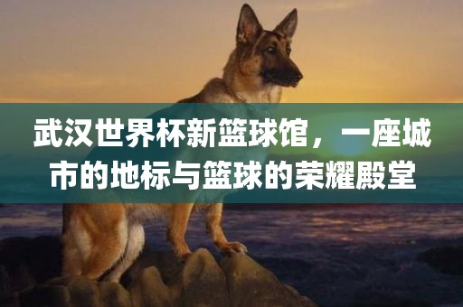 武汉世界杯新篮球馆，一座城市的地标与篮球的荣耀殿堂漯河市盈旭机械设备有限公司