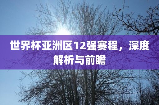 世漯河市盈旭机械设备有限公司界杯亚洲区12强赛程，深度解析与前瞻