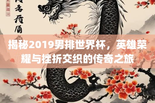 揭秘2019男排世界杯，英雄荣耀与挫折交织的传奇之旅漯河市盈旭机械设备有限公司