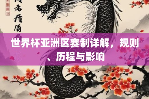 世界杯亚洲区赛制详解，规则、历程与影响漯河市盈旭机械设备有限公司