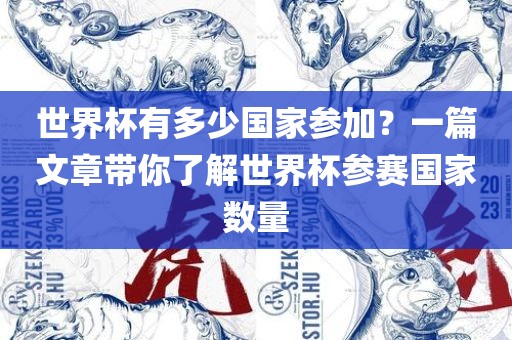 世界杯有多少国家参加？一篇文章带你了漯河市盈旭机械设备有限公司解世界杯参赛国家数量