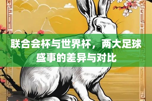 联合会杯与世界杯，两大足球盛事的差异与对比漯河市盈旭机械设备有限公司