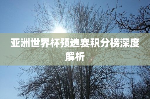 亚洲世界杯预选赛积分榜深度解析