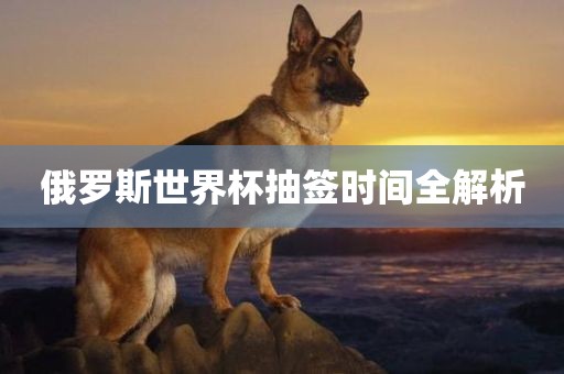 俄罗斯世界杯抽签时间全解析漯河市盈旭机械设备有限公司