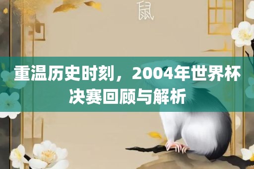 重温历史时刻，2004年世界杯决赛回顾与解析漯河市盈旭机械设备有限公司