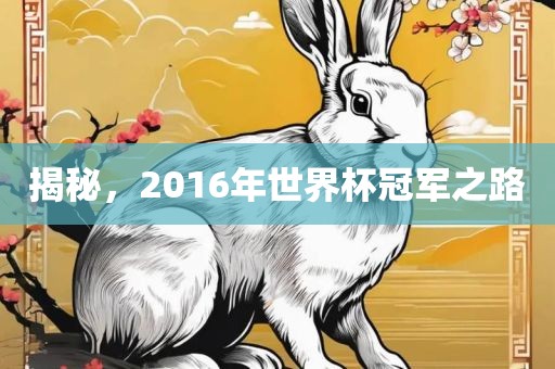 揭秘，2016年世界杯冠军之路