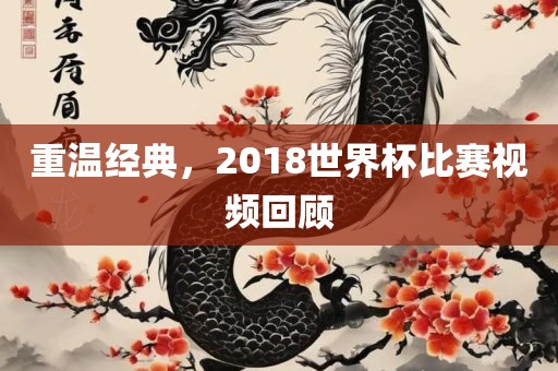 重温经典，2018世界杯比赛视频回顾
