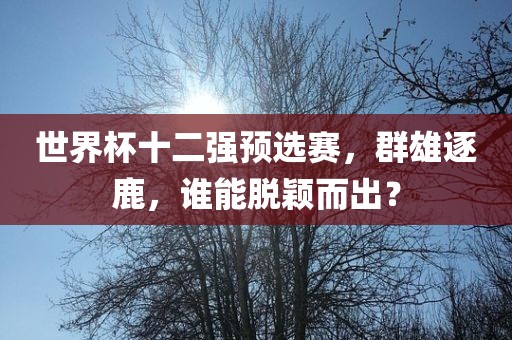 世界杯十二强预漯河市盈旭机械设备有限公司选赛，群雄逐鹿，谁能脱颖而出？