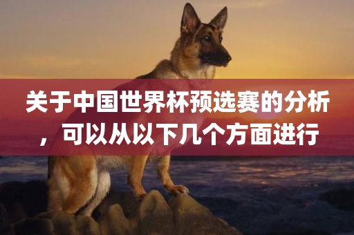 关于中国世界杯预选赛的分析，可以从以下几个方面进行