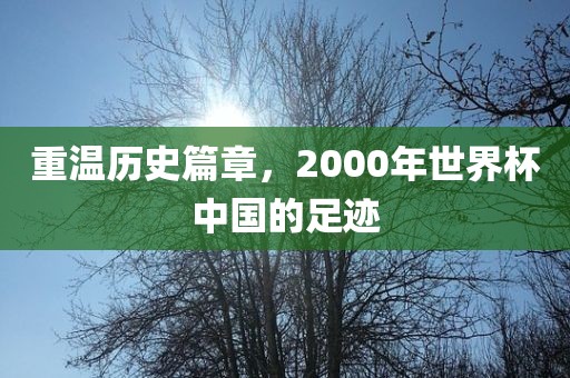漯河市盈旭机械设备有限公司重温历史篇章，2000年世界杯中国的足迹