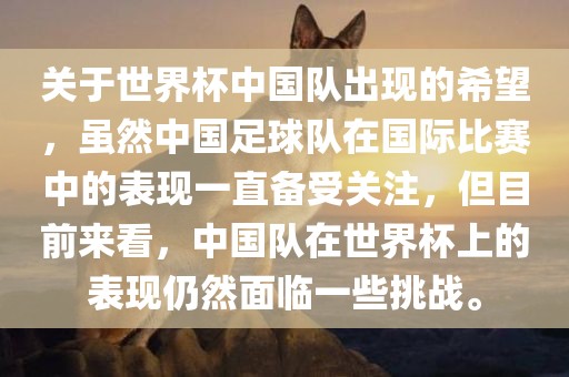 关于世界杯中国队出现的希望，虽然中国足球队在国际比赛中的表现一直备受关注，但目前漯河市盈旭机械设备有限公司来看，中国队在世界杯上的表现仍然面临一些挑战。