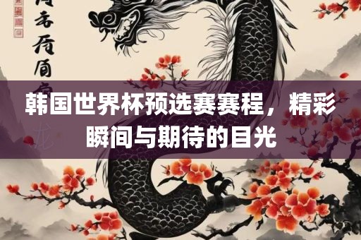 韩国世界杯预选赛赛程，精彩瞬间与期待的目光