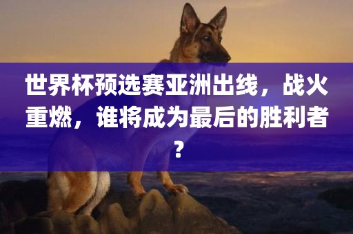 世界杯预选赛亚洲出线，战火重燃，谁将成为最后的胜利者？漯河市盈旭机械设备有限公司