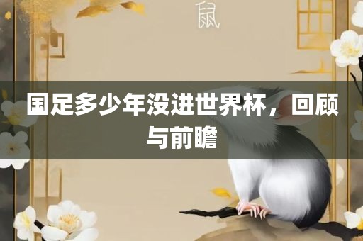 国足多少年没进世界杯，回顾与前瞻