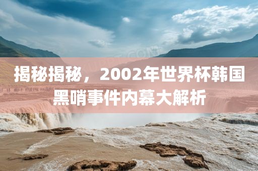 揭秘揭秘，2002年世界杯韩国黑哨事件内幕大解析