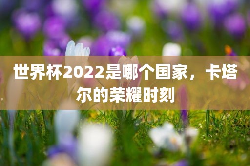 世界杯2022是哪个国家，卡塔尔的荣耀时刻