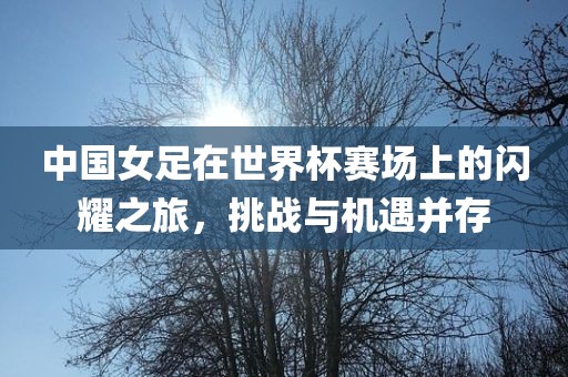 中国女足在世界杯赛场上的闪耀之旅，挑战与机遇并存