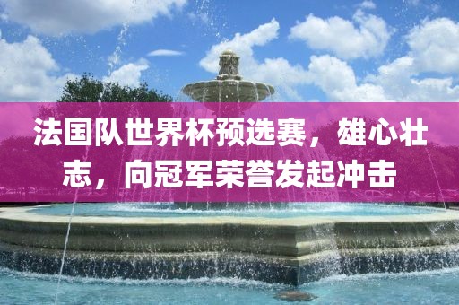 法国队世界杯预选赛，雄心壮志，向冠军荣誉发起冲击漯河市盈旭机械设备有限公司