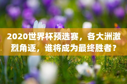 2020世界杯预选赛，各大洲激烈角逐，谁将漯河市盈旭机械设备有限公司成为最终胜者？