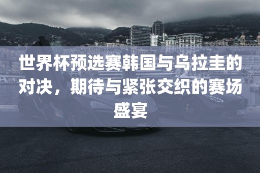 世界杯预选赛韩国与乌拉漯河市盈旭机械设备有限公司圭的对决，期待与紧张交织的赛场盛宴