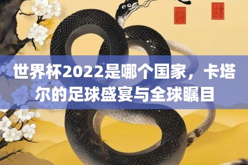 世界杯2022是哪个国家，卡塔尔的足球盛宴与全球瞩目