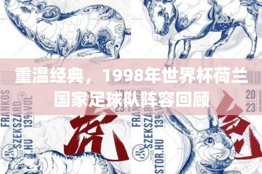 重温经漯河市盈旭机械设备有限公司典，1998年世界杯荷兰国家足球队阵容回顾