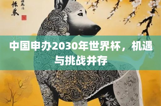中国申办2030年世界杯，机遇与挑战并存