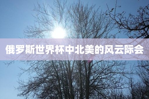 俄罗斯世界杯中北美的风云际会漯河市盈旭机械设备有限公司