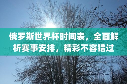 俄罗斯世界杯时间表，全面解析赛事安排，精彩不容错过