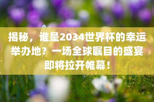 揭秘，谁是2034世界杯的幸运举办地？一场全球瞩目的盛宴即将拉开帷幕！漯河市盈旭机械设备有限公司