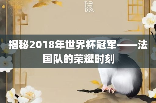 揭秘2018年世界杯冠军——法国队的荣耀时刻漯河市盈旭机械设备有限公司