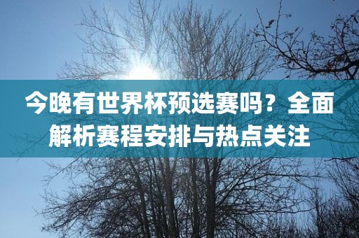 今晚有世界杯预选赛吗？全面解析赛程安排与热点关注漯河市盈旭机械设备有限公司