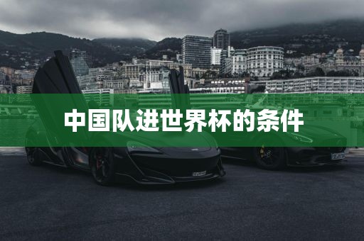 中国队进世界杯的条件