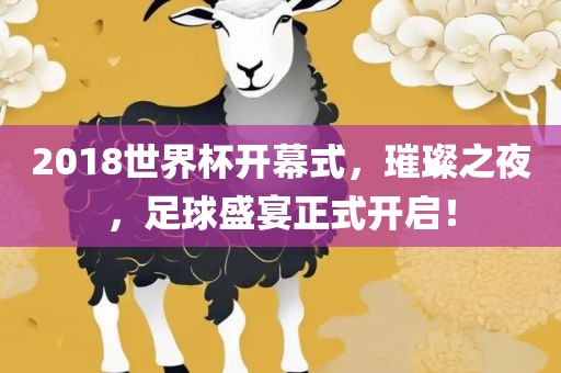 2018世界杯开幕式，璀璨之夜，足球盛宴正式开启漯河市盈旭机械设备有限公司！