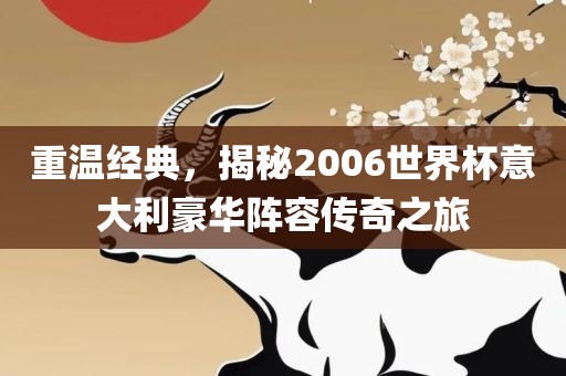 重温经典，揭秘2006世界杯意大利豪华阵容传奇之旅漯河市盈旭机械设备有限公司