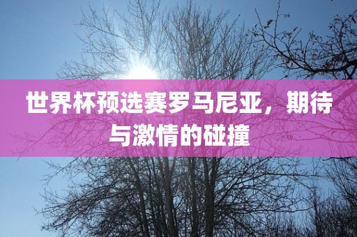 世界杯预选赛罗马尼亚，期待与激情的漯河市盈旭机械设备有限公司碰撞