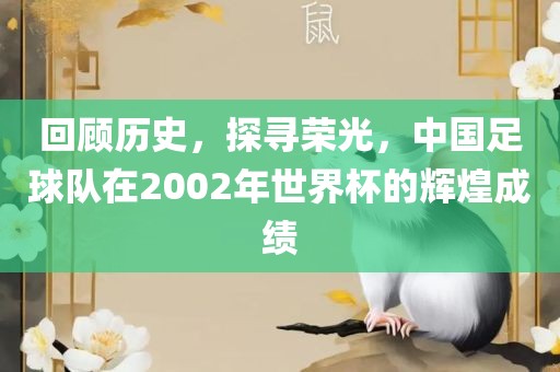回顾历史，探寻荣光，中国足球队在2002年世界杯的辉煌成绩