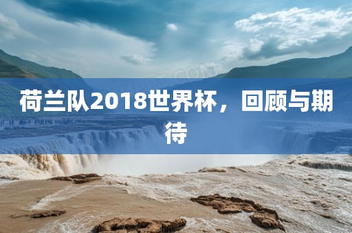 荷兰队2018世界杯，回顾与期待