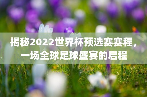 揭秘2022世界杯预选赛赛程，一场全球漯河市盈旭机械设备有限公司足球盛宴的启程