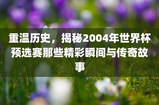 重温历史，揭秘2004年世界杯预选赛那些精彩瞬间与传奇故事