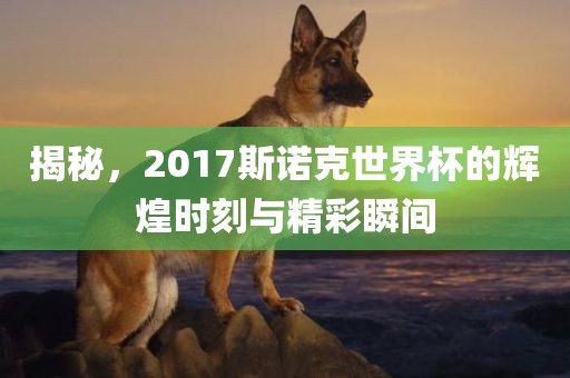 揭秘，2017斯诺克世界杯的辉煌时刻与精彩瞬间