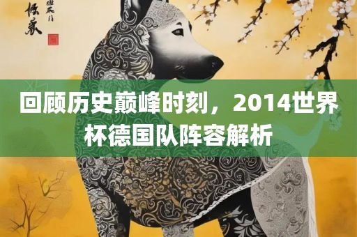 回顾历史巅峰时刻，2014世界杯德国队阵容解析