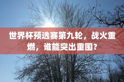 世界杯预选赛第九轮，战火重燃，谁能突出重围？