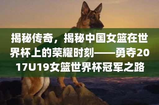 揭秘传奇，揭秘中国女篮在世界杯上的荣耀时刻——勇夺2017U19女篮世界杯冠军之路漯河市盈旭机械设备有限公司